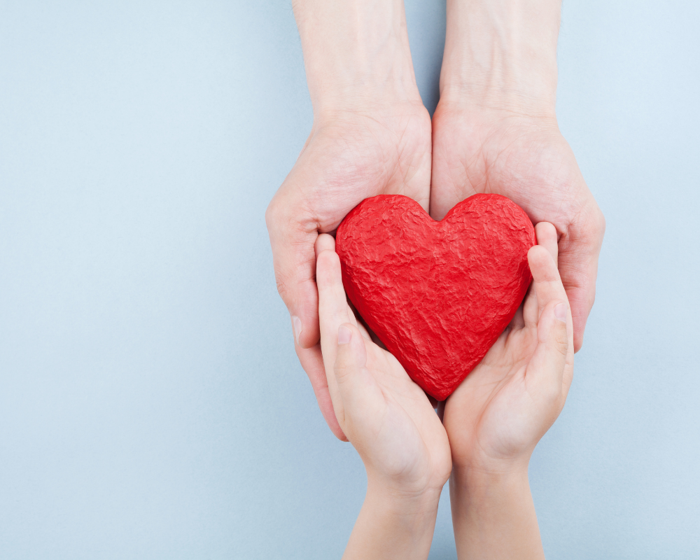 Two hands holding a red heart, symbolizing the impact of medical sales on patient care and health outcomes.