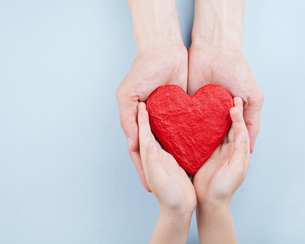 Two hands holding a heart.